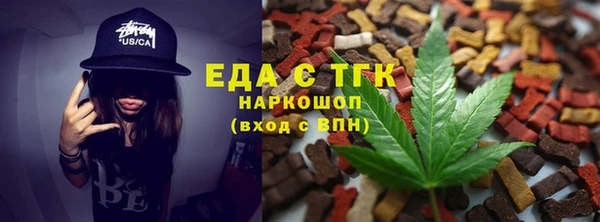 прущие грибы Новодвинск