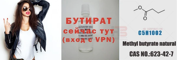 прущие грибы Новодвинск