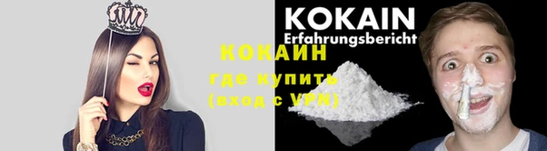 прущие грибы Новодвинск