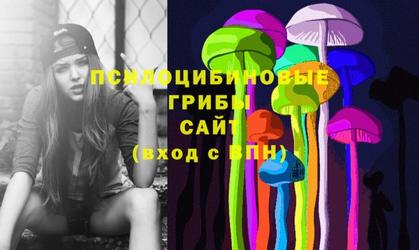 дживик Нязепетровск