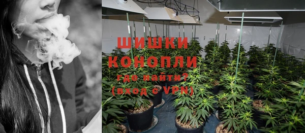 spice Новозыбков