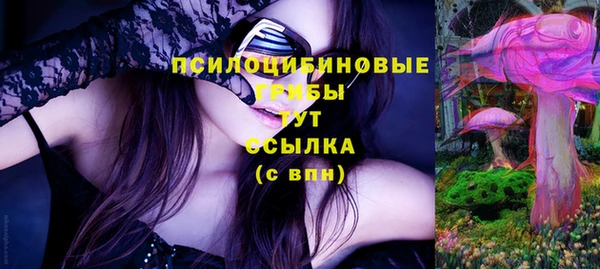 прущие грибы Новодвинск