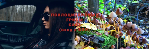 spice Новозыбков