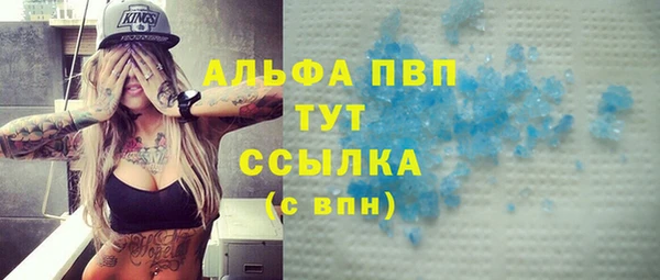 прущие грибы Новодвинск
