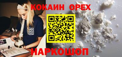 стафф Донской
