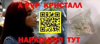 стафф Донской