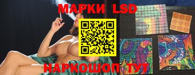 стафф Донской