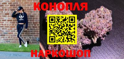 стафф Донской