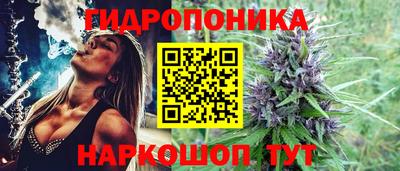 стафф Донской