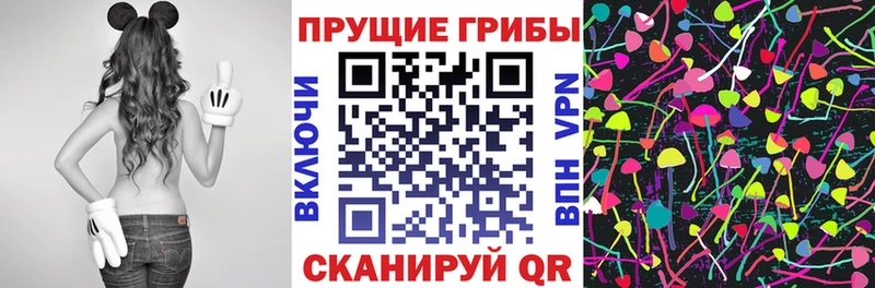 Галлюциногенные грибы Cubensis Луга