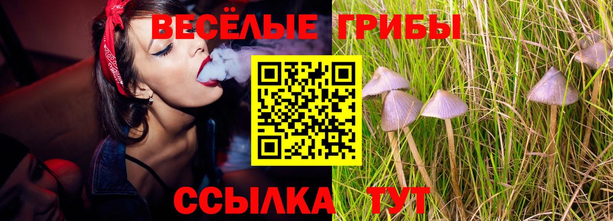 Псилоцибиновые грибы Magic Shrooms Луга