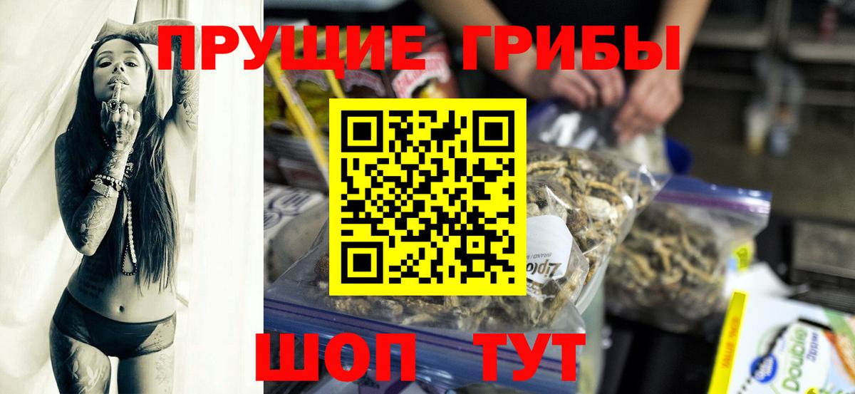 Луга  Галлюциногенные грибы MAGIC MUSHROOMS  Вход с VPN  Галлюциногенные грибы MAGIC MUSHROOMS 