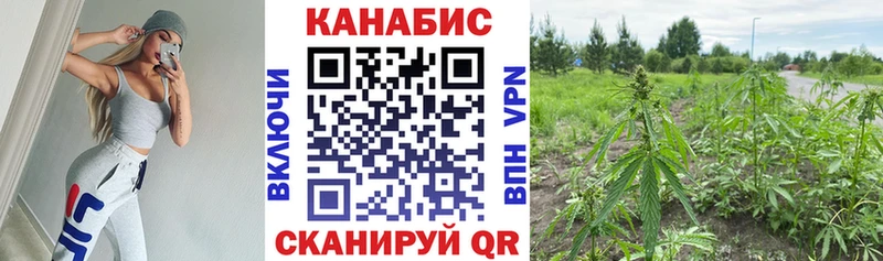 blacksprut онион  Луга  Шишки марихуана White Widow 