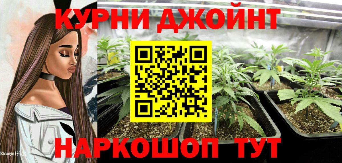 МАРИХУАНА тримм  Вход с VPN  Луга  Конопля гибрид 